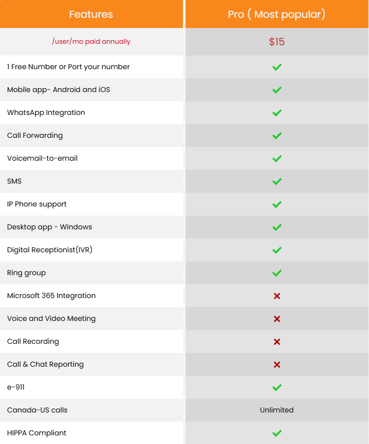 VoIP Direct Pro Plan