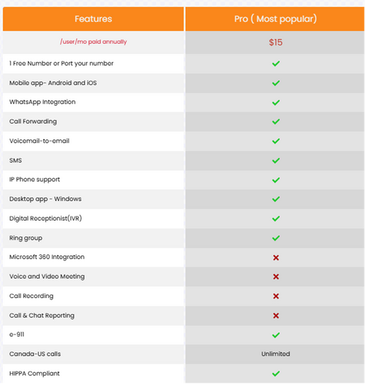 VoIP Direct Pro Plan