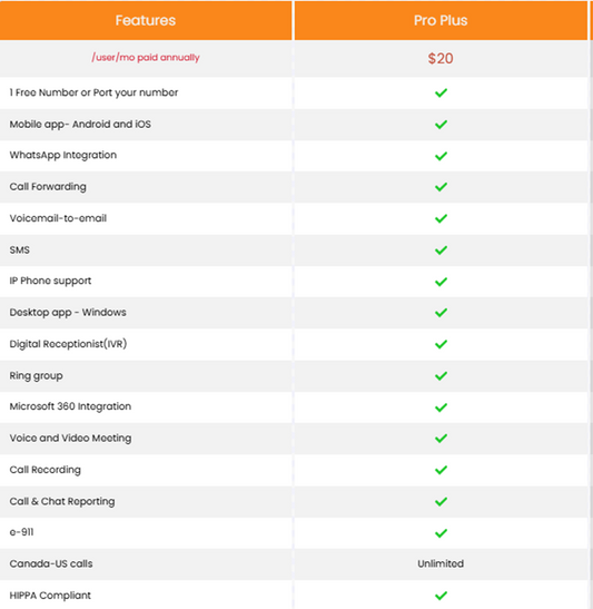 VoIP Direct Pro plus Plan